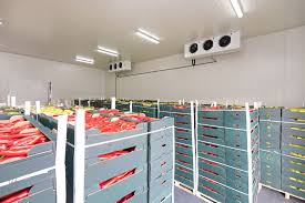 Chilled Storage: Precision Temperature-Controlled Solutions for Perishable Goods in Saudi Arabia